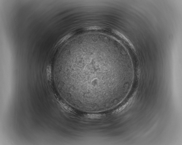 X0000116100825200911301101