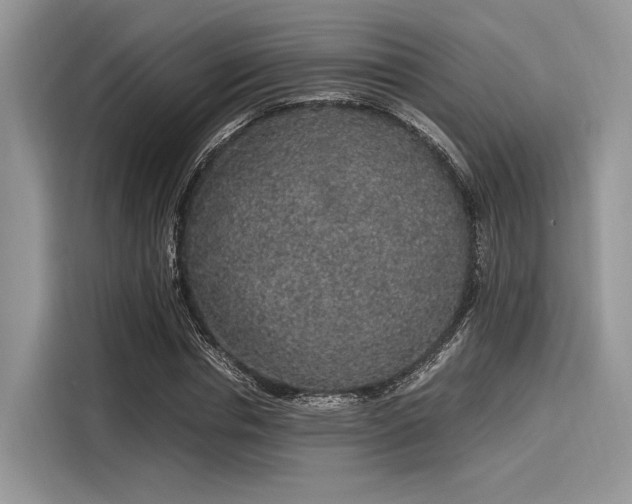 X0000116100826200911301101