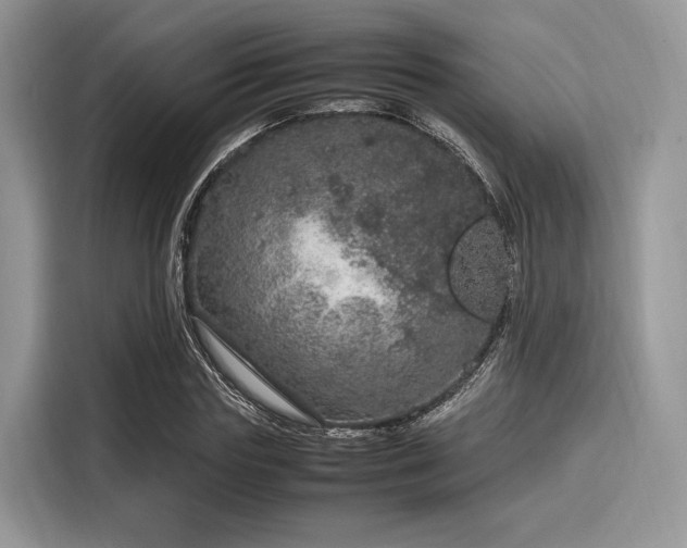 X0000116100827200911301101