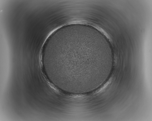 X0000116100830200911301101