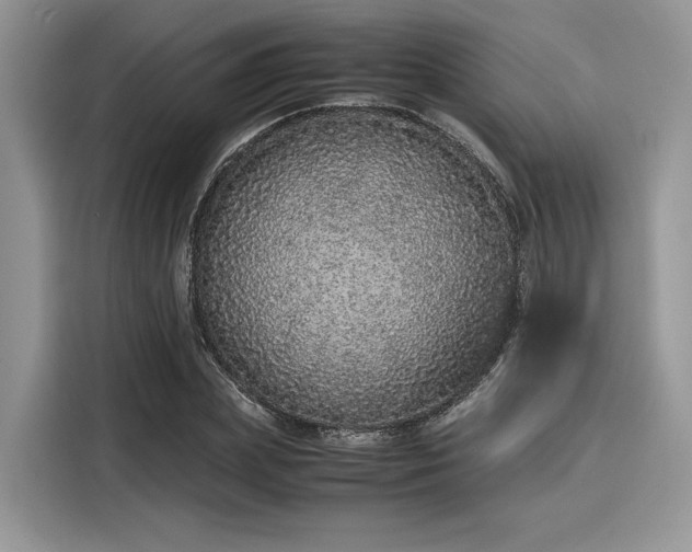 X0000116100831200911301101