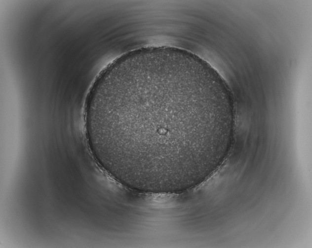 X0000116100832200911301101