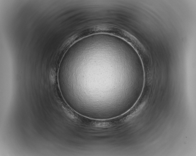 X0000116100833200911301101