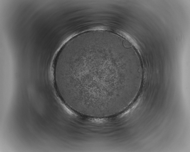 X0000116100835200911301101