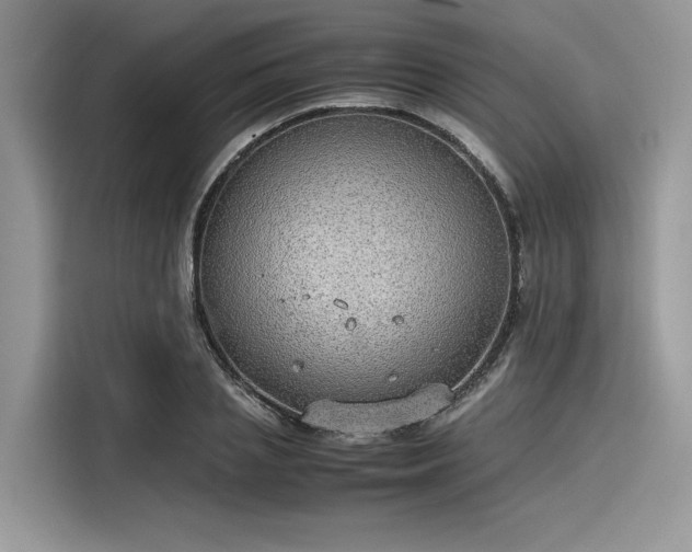 X0000116100837200911301101