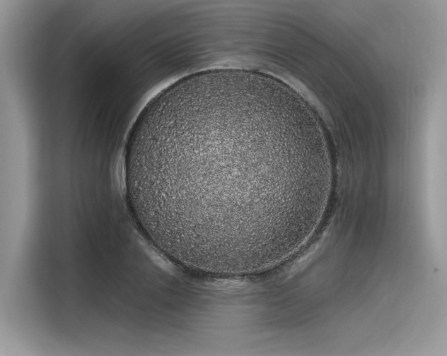 X0000116100838200911301101