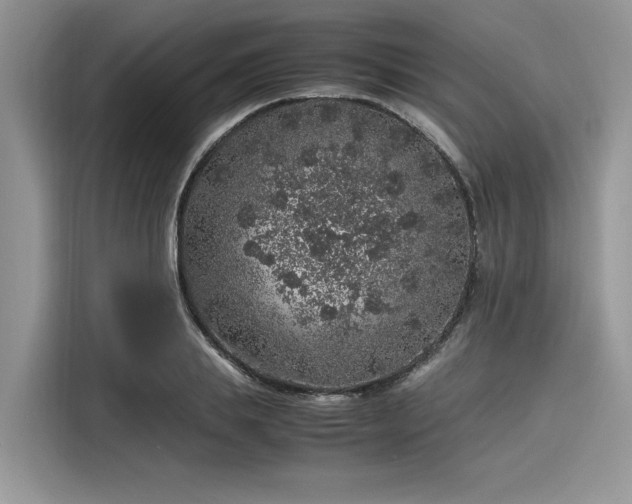 X0000116100839200911301101