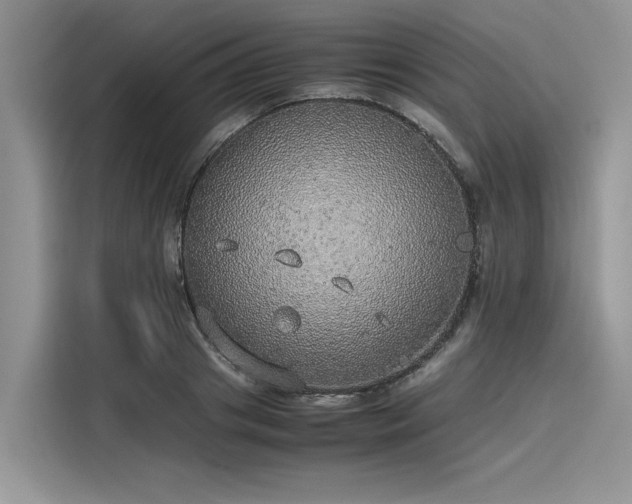 X0000116100841200911301101