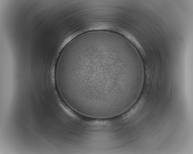 X0000116100842200911301101