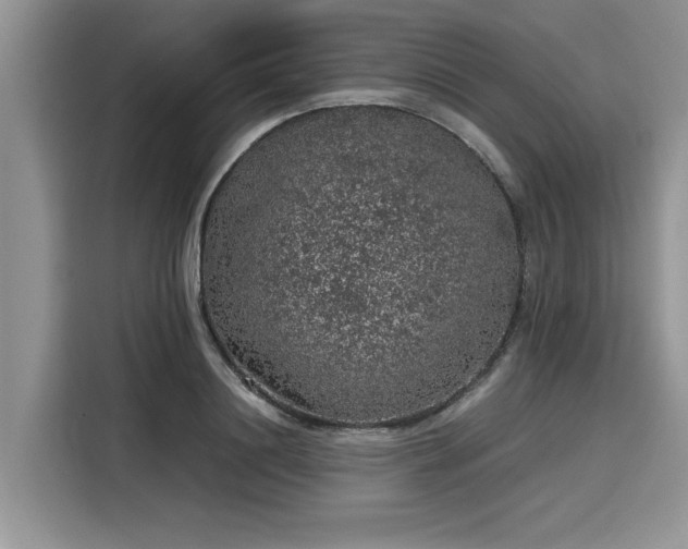 X0000116100844200911301101