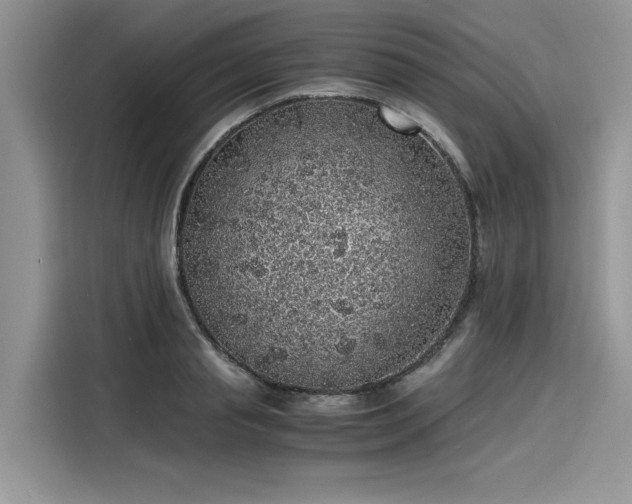 X0000116100845200911301101