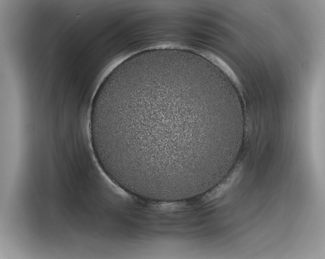 X0000116100847200911301101