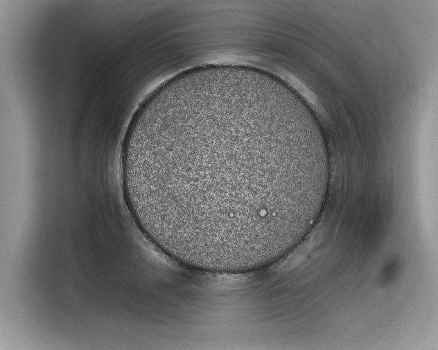 X0000116100848200911301101