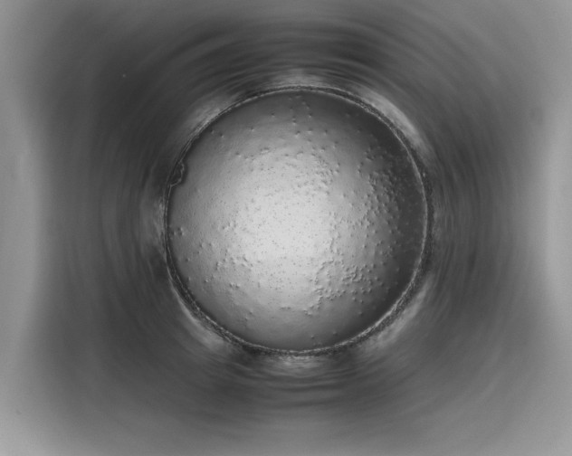 X0000116100849200911301101