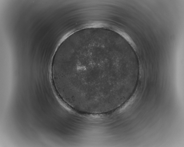 X0000116100850200911301101