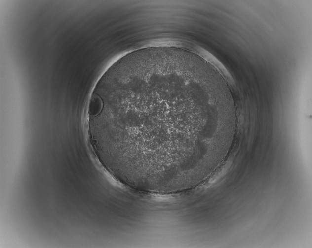 X0000116100852200911301101