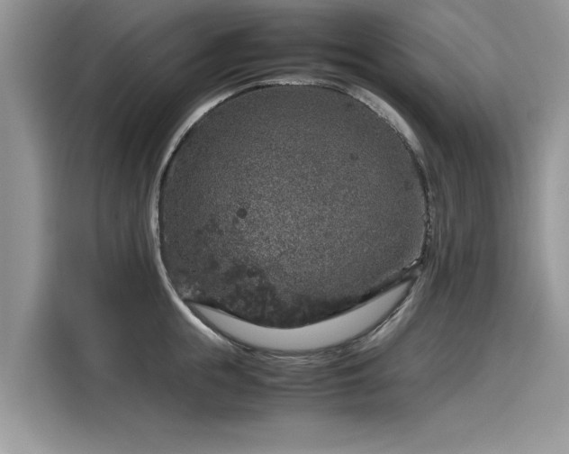 X0000116100855200911301101