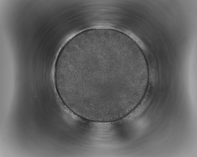 X0000116100856200911301101