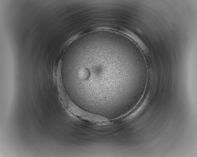 X0000116100857200911301101