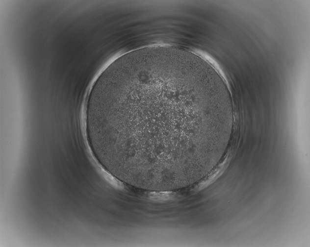 X0000116100859200911301101