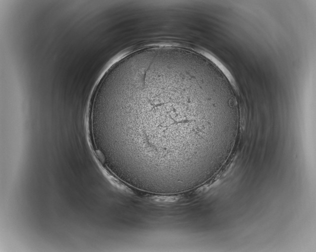 X0000116100861200911301101