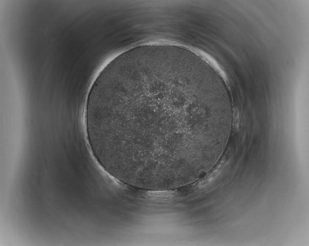 X0000116100863200911301101