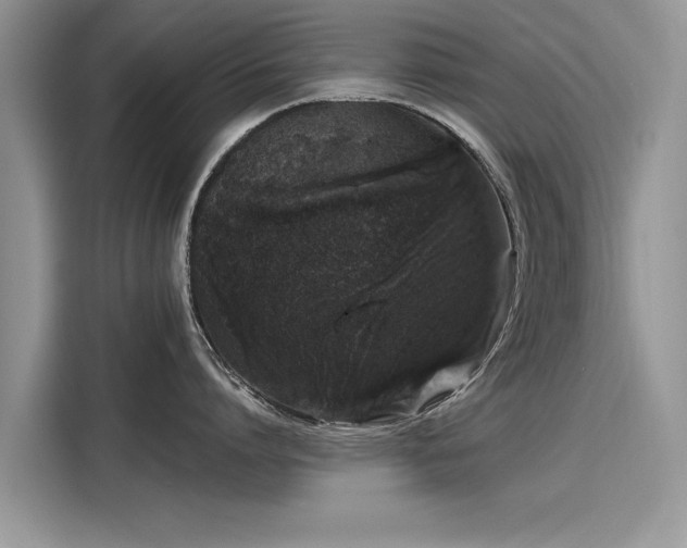 X0000116100864200911301101