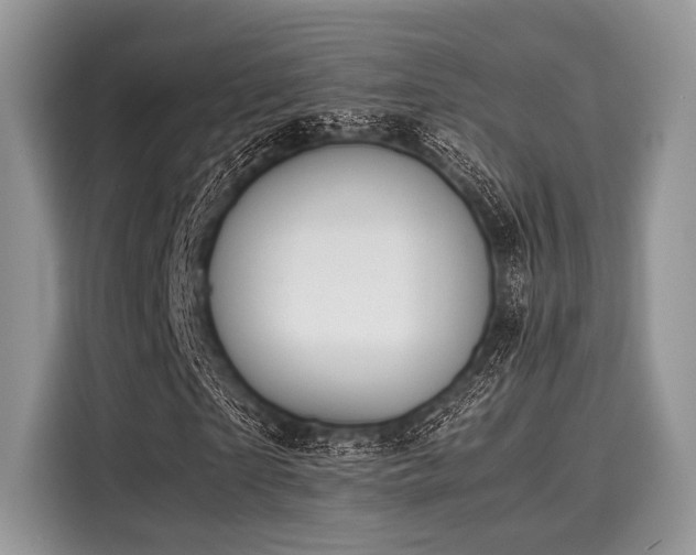 X0000116100865200911301101