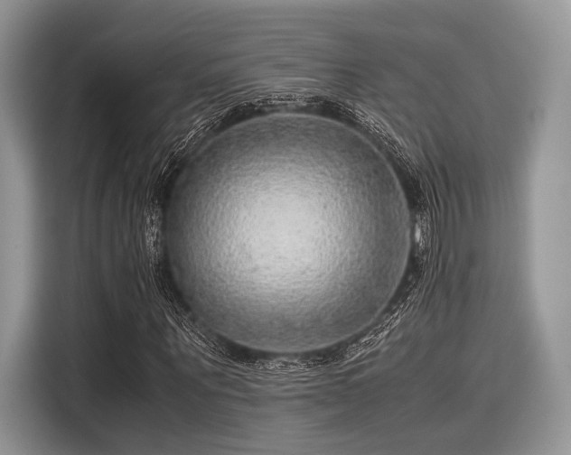 X0000116100867200911301101