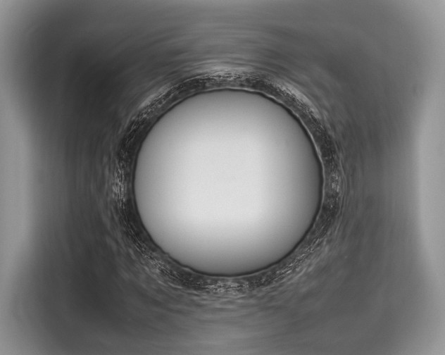 X0000116100869200911301101