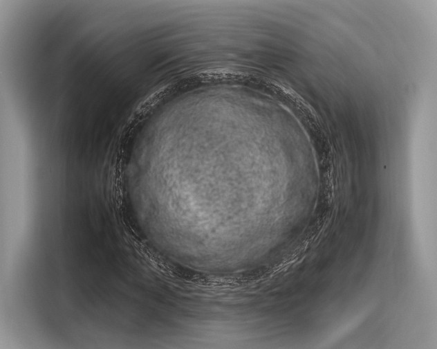 X0000116100870200911301101