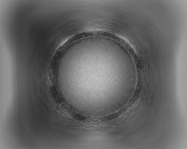 X0000116100871200911301100