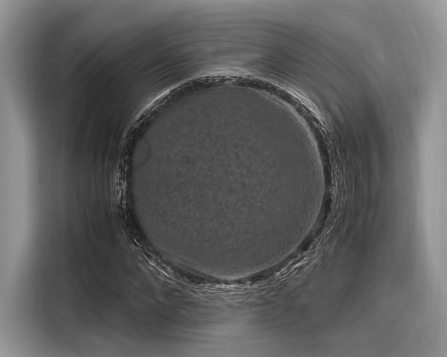 X0000116100872200911301100