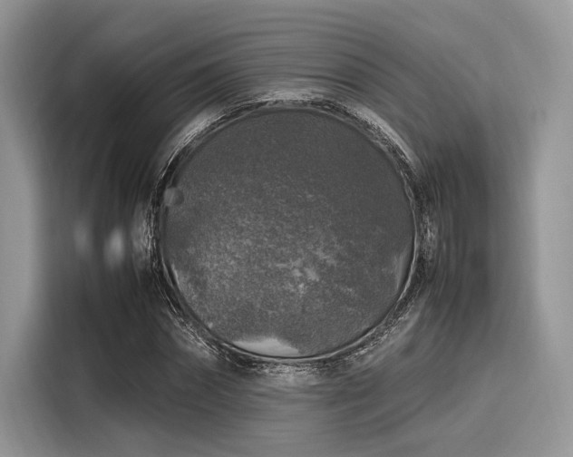 X0000116100874200911301100