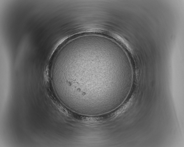 X0000116100875200911301100