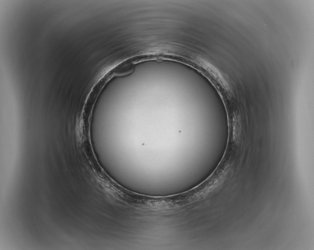 X0000116100876200911301100