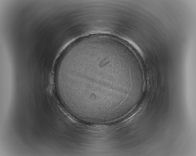 X0000116100878200911301100