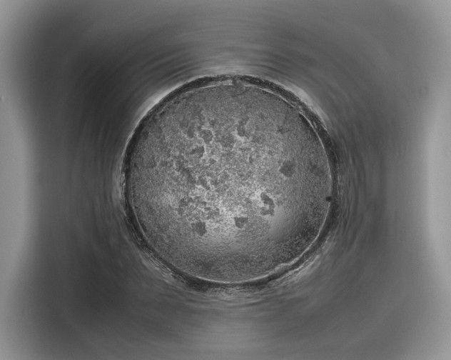 X0000116100879200911301100