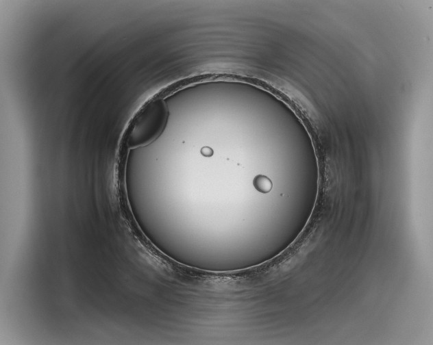 X0000116100880200911301100