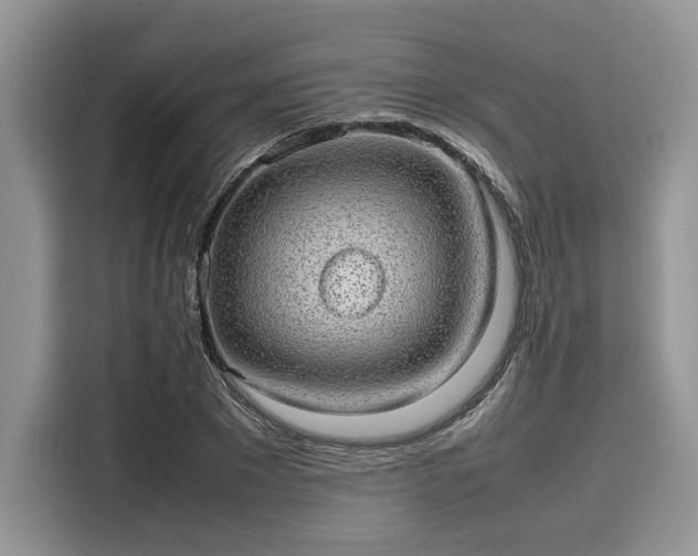 X0000116100881200911301100