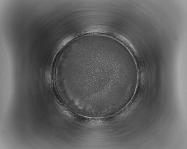 X0000116100882200911301100