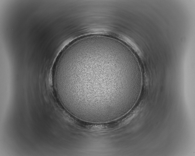 X0000116100883200911301100