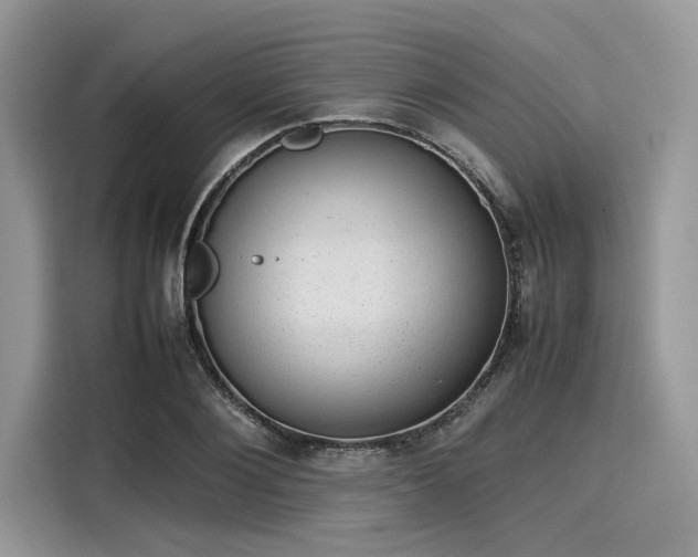 X0000116100884200911301100