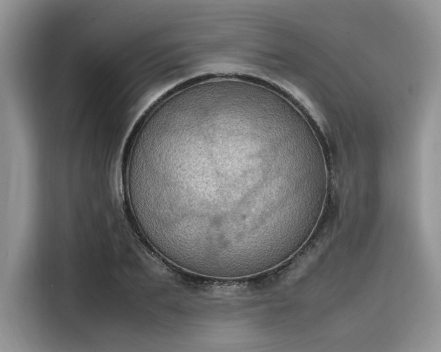 X0000116100887200911301100