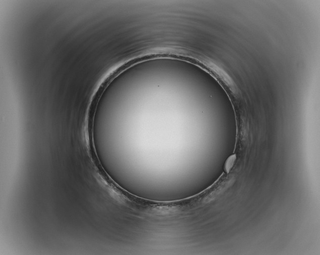 X0000116100888200911301100