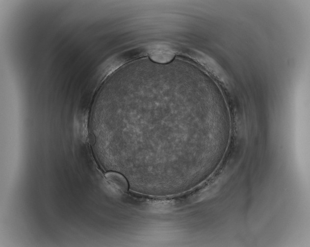 X0000116100889200911301100