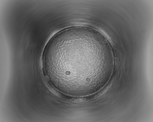 X0000116100891200911301100