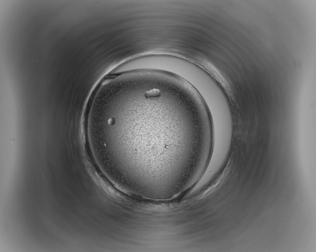 X0000116100892200911301100