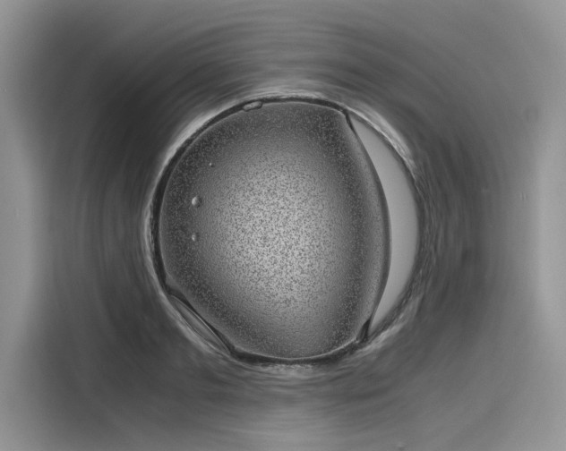 X0000116100893200911301100