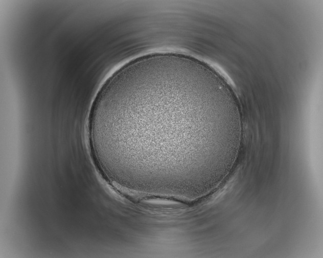 X0000116100895200911301100